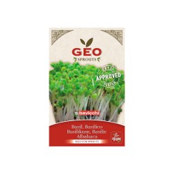 Semillas de albahaca para germinar ecológicas - Bavicchi Geo