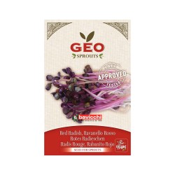 Semillas de rábano rojo para germinar ecológicas - Bavicchi GEO