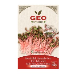 Semillas de rábano rosa para germinar ecológicas - Bavicchi GEO