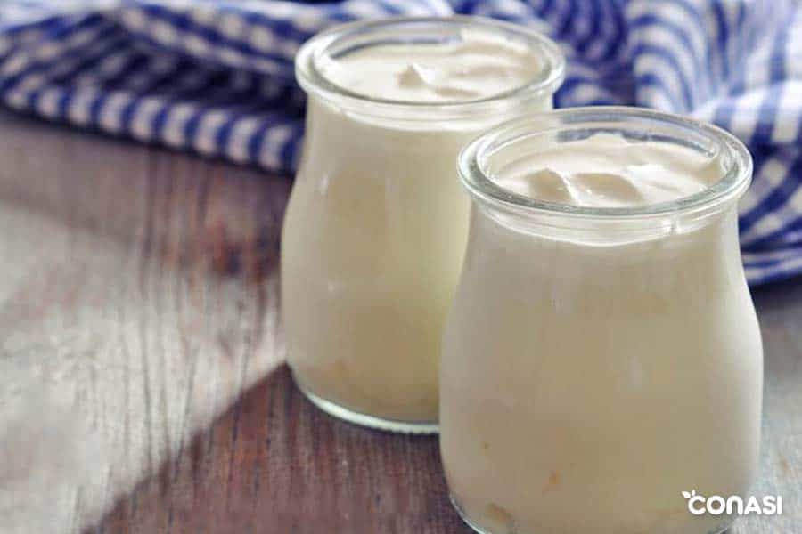Cultivo - fermento para Yogurt para 1 litro leche - El Secreto de la  Cerveza