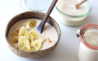 Fermentos para yogur y kéfir – GenesisProbioticos