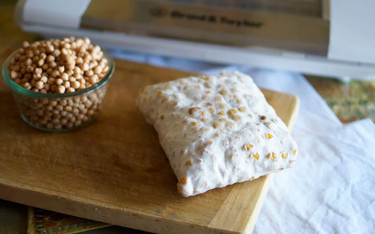 Receta de tempeh de garbanzos en la fermentadora y en el horno